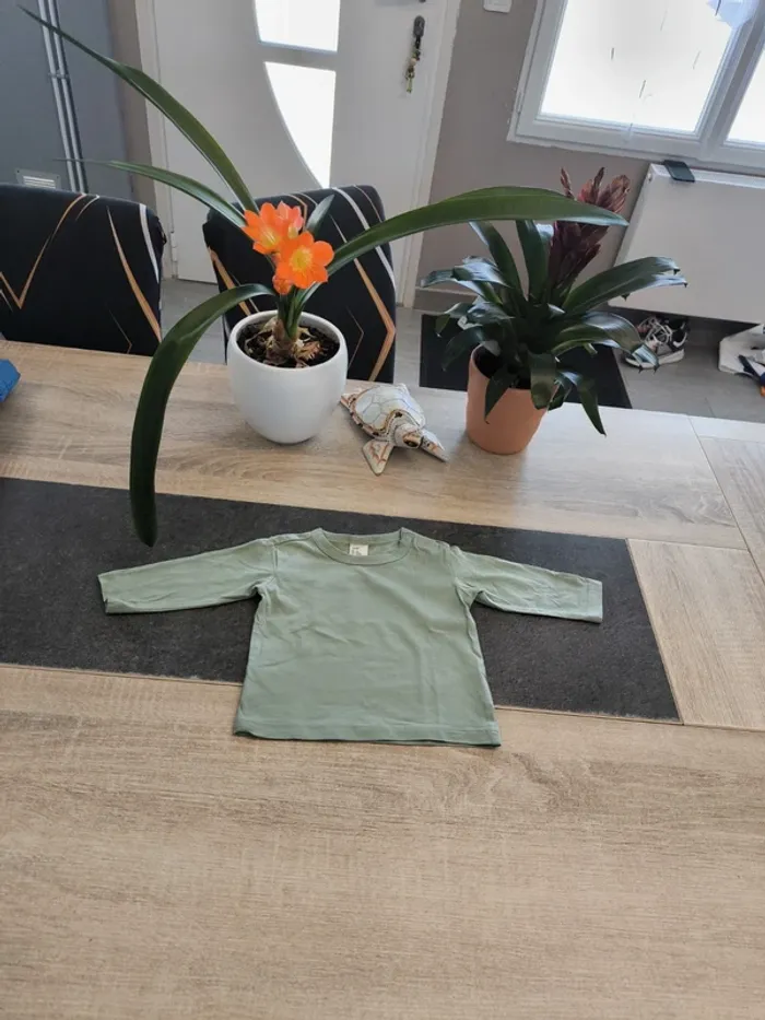 Tee-shirt garçon ml 6 mois HM