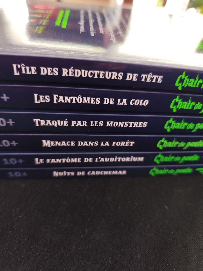 Chair de poule lot 6 livres tomes 19 20 21 22 23 24 - photo numéro 4
