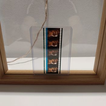 Pellicule démon slayer zenitsu