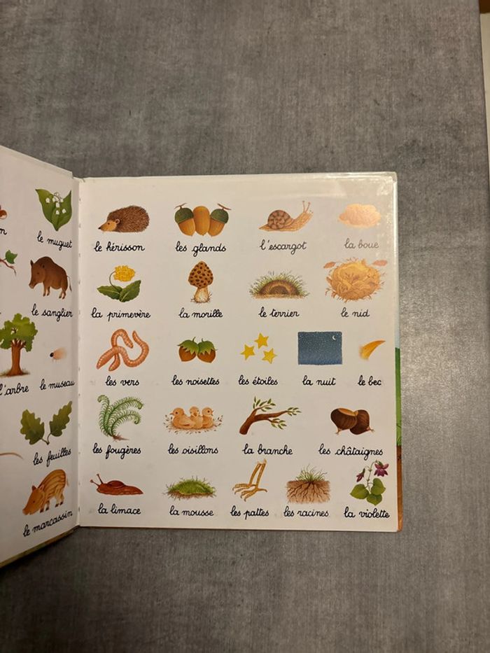 Livre je lis avec les animaux de la forêt - photo numéro 2