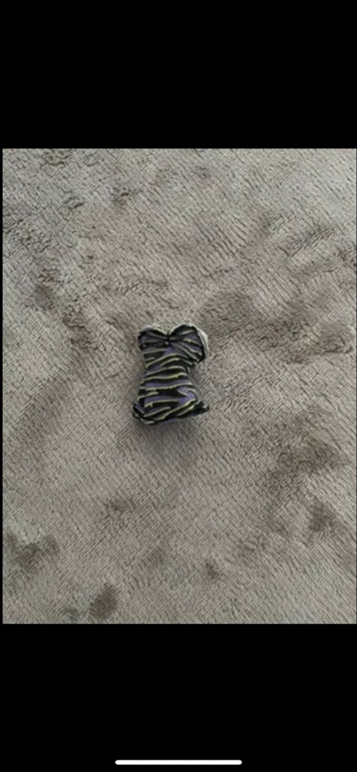 Tenue Monster High Clawdeen Wolf Maul Session (accessoires) - photo numéro 3