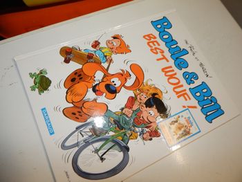 Best Wouf : Hors série : Boule & Bill