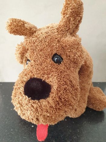 Peluche chien 🐕
