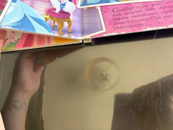 Nos petits compagnons- Disney princesses palace pets - photo numéro 4