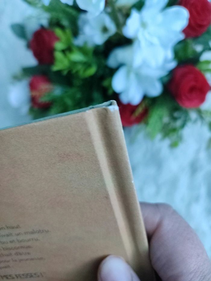 Le malotru - photo numéro 3