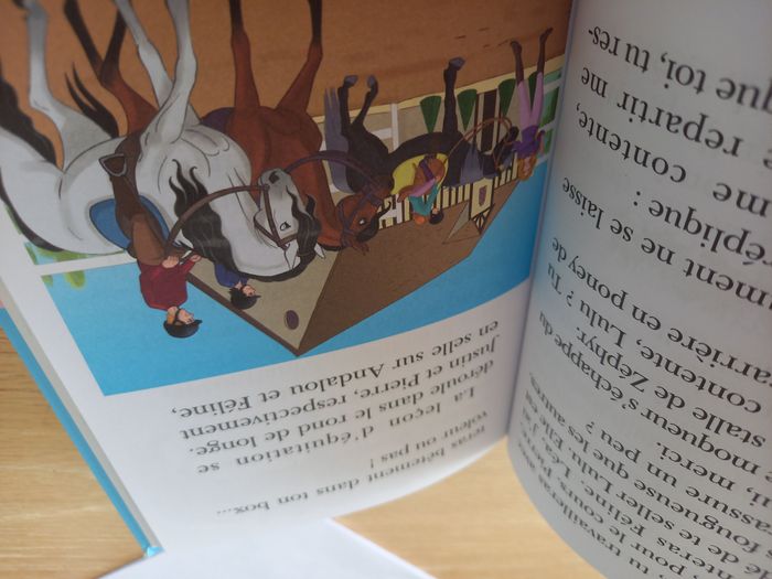 Lot 2 livres Mes Amis les chevaux dès 6 ans - Très bon état - photo numéro 5