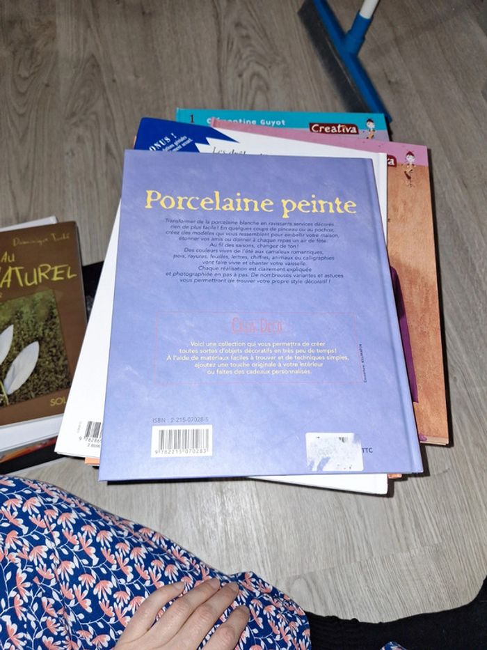 Porcelaine peinte - photo numéro 2