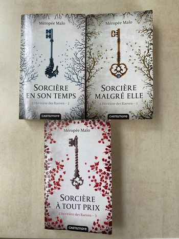 Saga l’héritière des Ravens