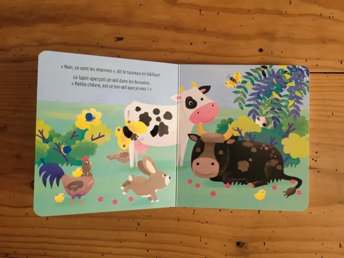 Livre Où es-tu petite chèvre ? - photo numéro 7