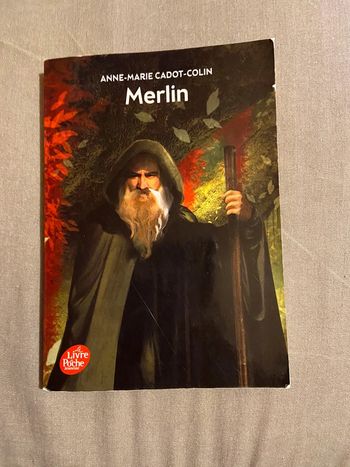 Livre Merlin