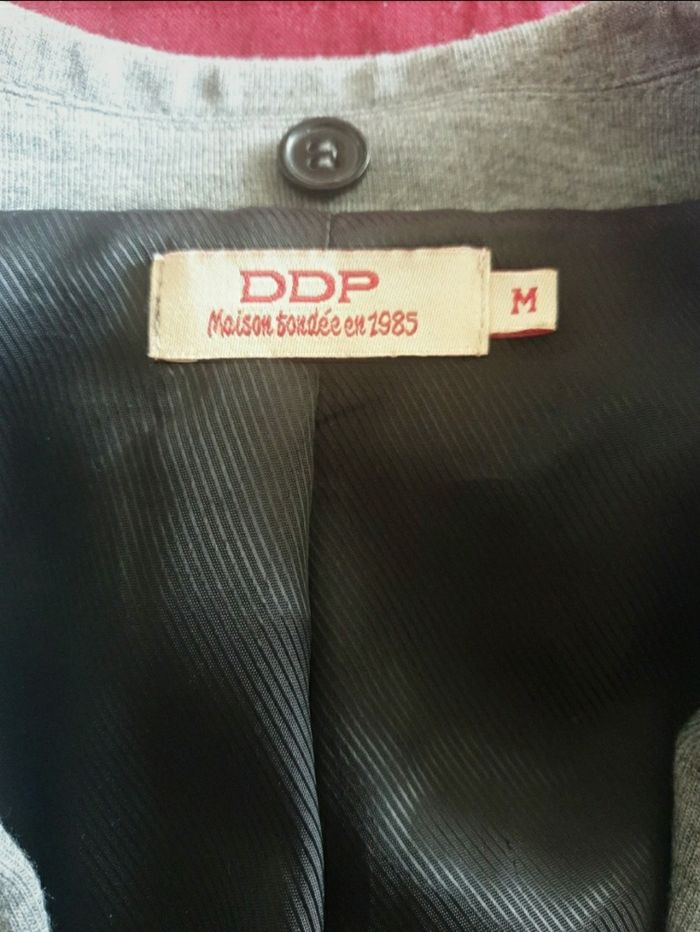 Vedte DDP - photo numéro 4