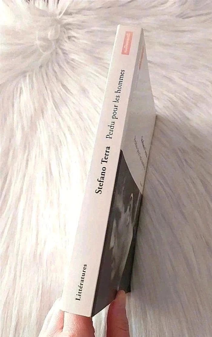 Roman Stefano Terra - Perdu pour les hommes - photo numéro 2