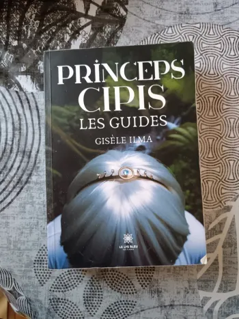 Principes cipis