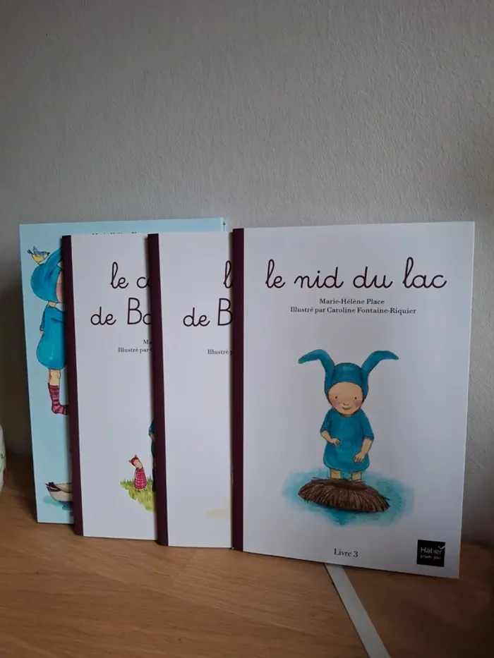 Livres premières lecture montessori - photo numéro 4