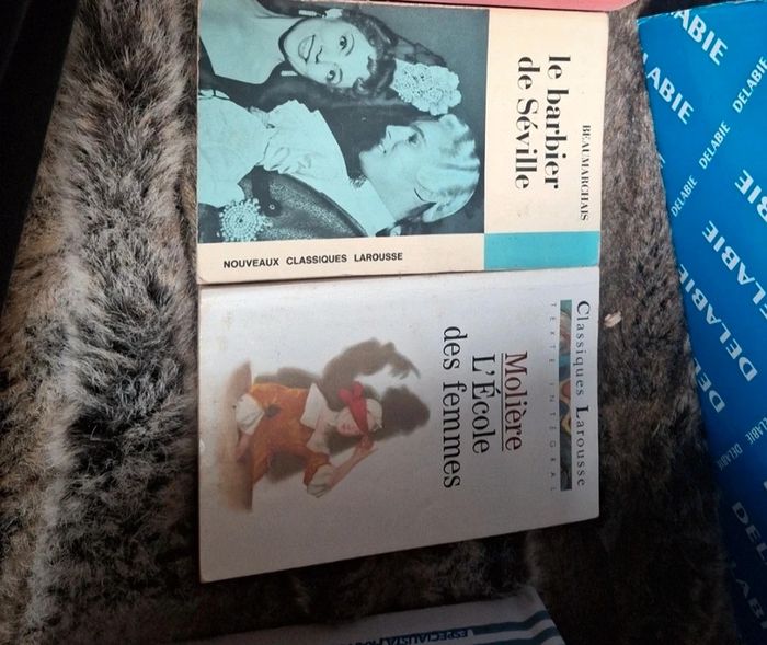 Lot de 2 grand classiques litterature