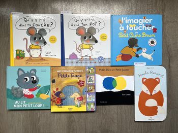Lot 33 livres enfants (+2 livrets)
