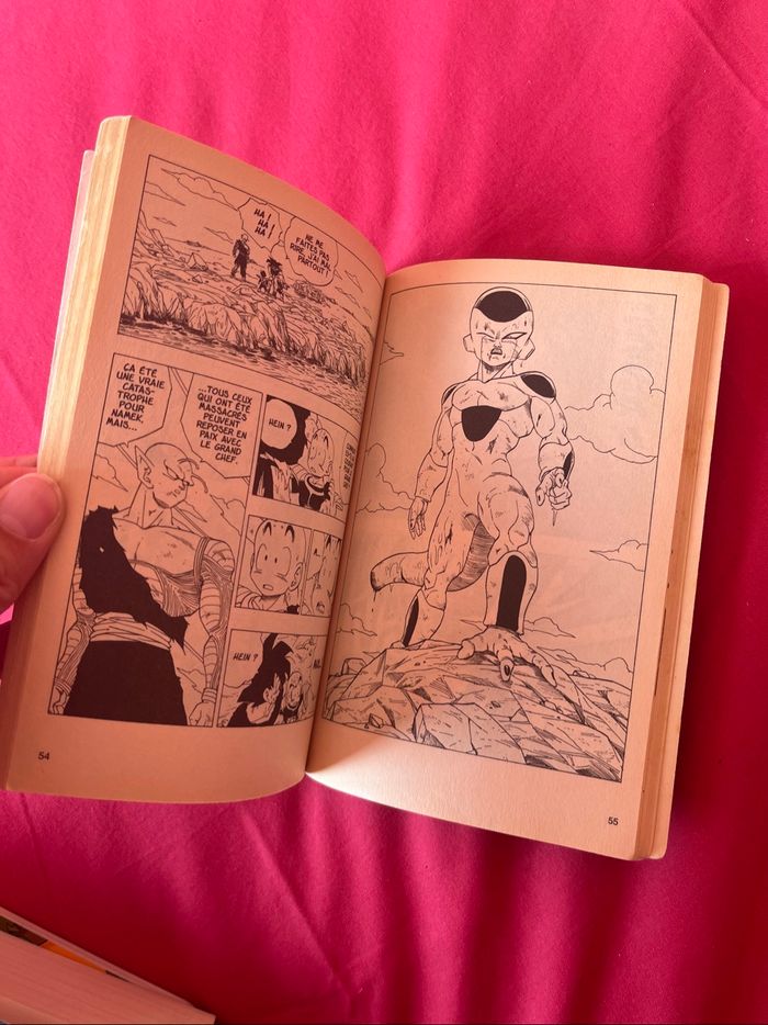 Livre - photo numéro 3