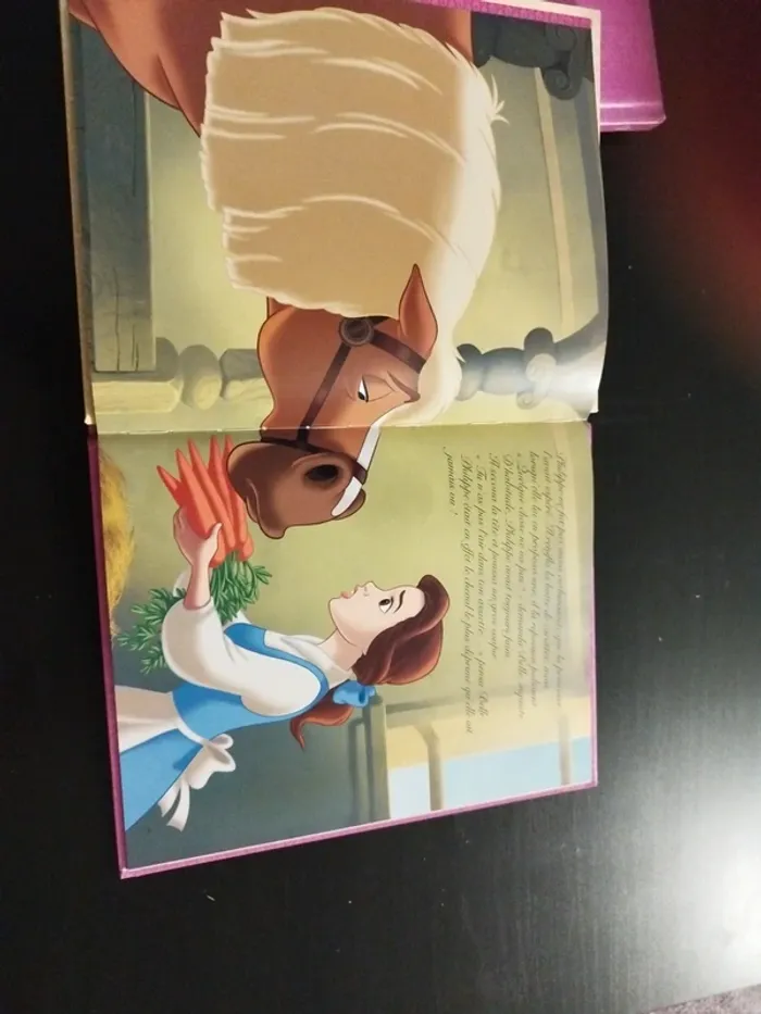 Lot 3 livres Disney princesses et chevaux - photo numéro 9