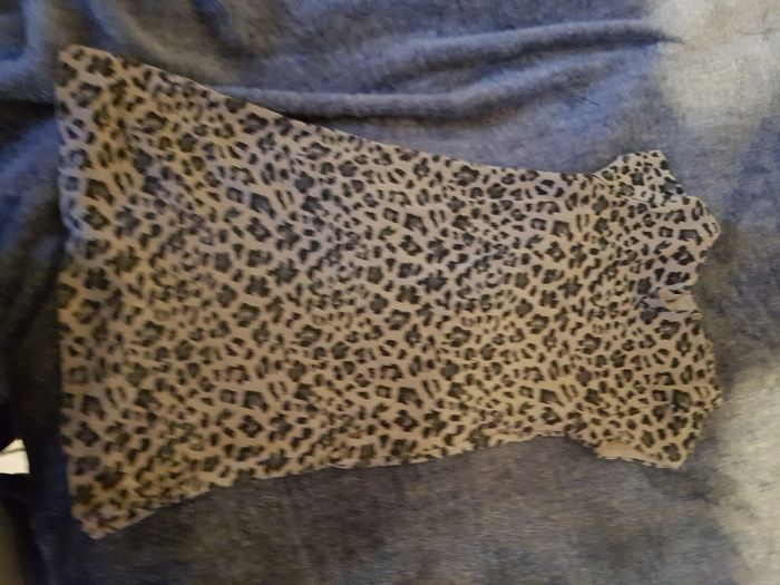 Robe - photo numéro 3