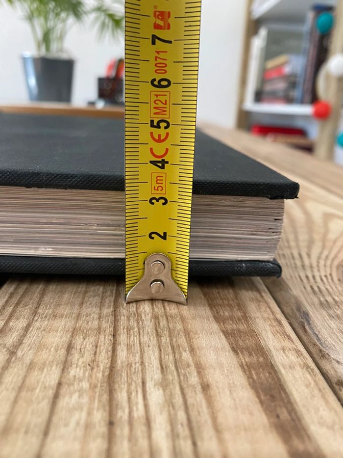 livre l’Inde le nord et le rajasthan - photo numéro 8