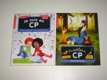 lot de livres