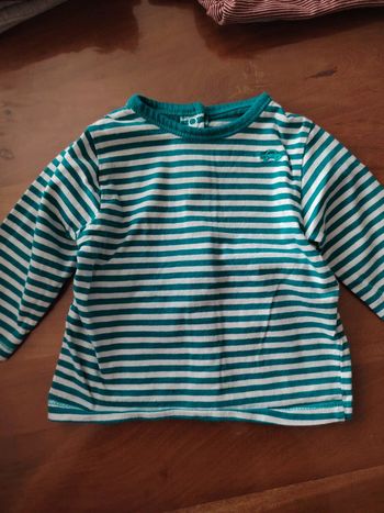 Pull fin rayer