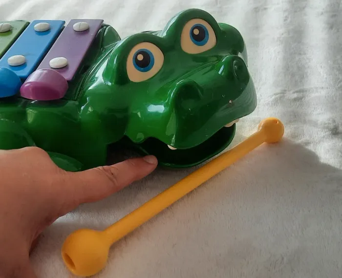Xylophone crocodile - photo numéro 6