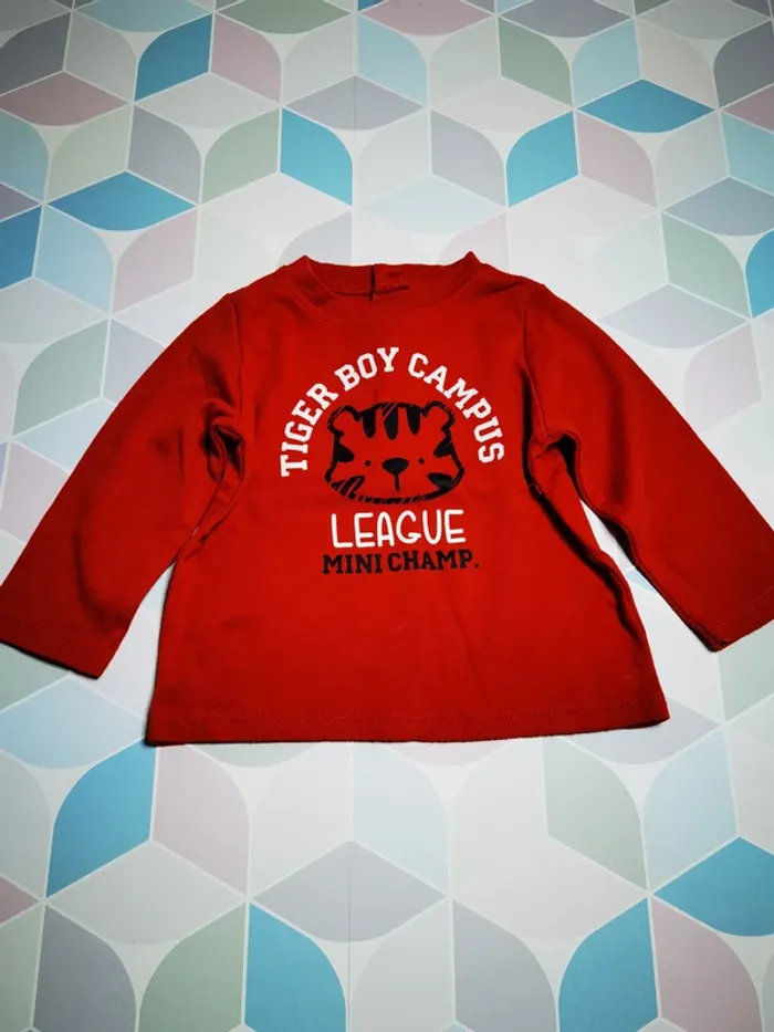 D4609 - tee-shirt garçon 12 mois - photo numéro 2