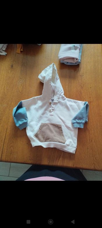 Pull manches longues avec capuche 12 mois