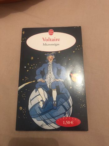 Micromégas