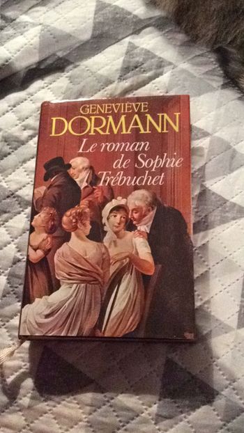 #le roman de Sophie Trébuchet par Geneviève Dormann