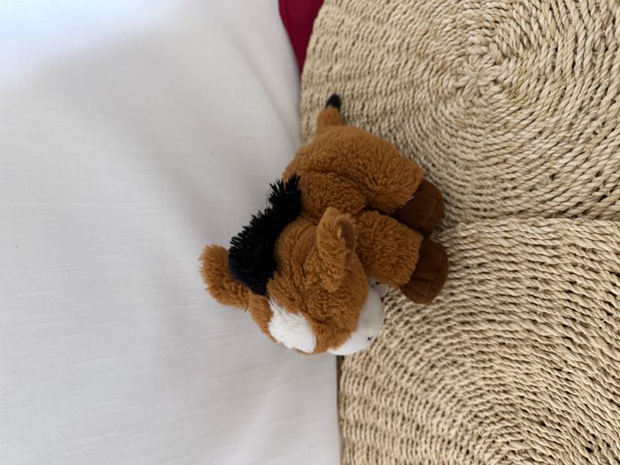 Doudou pantin ferme cheval marron HISTOIRE D'OURS - photo numéro 5