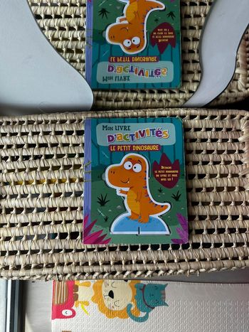 Mon livre d’activités