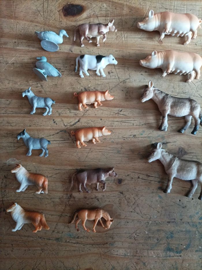 Animaux de la ferme - photo numéro 3