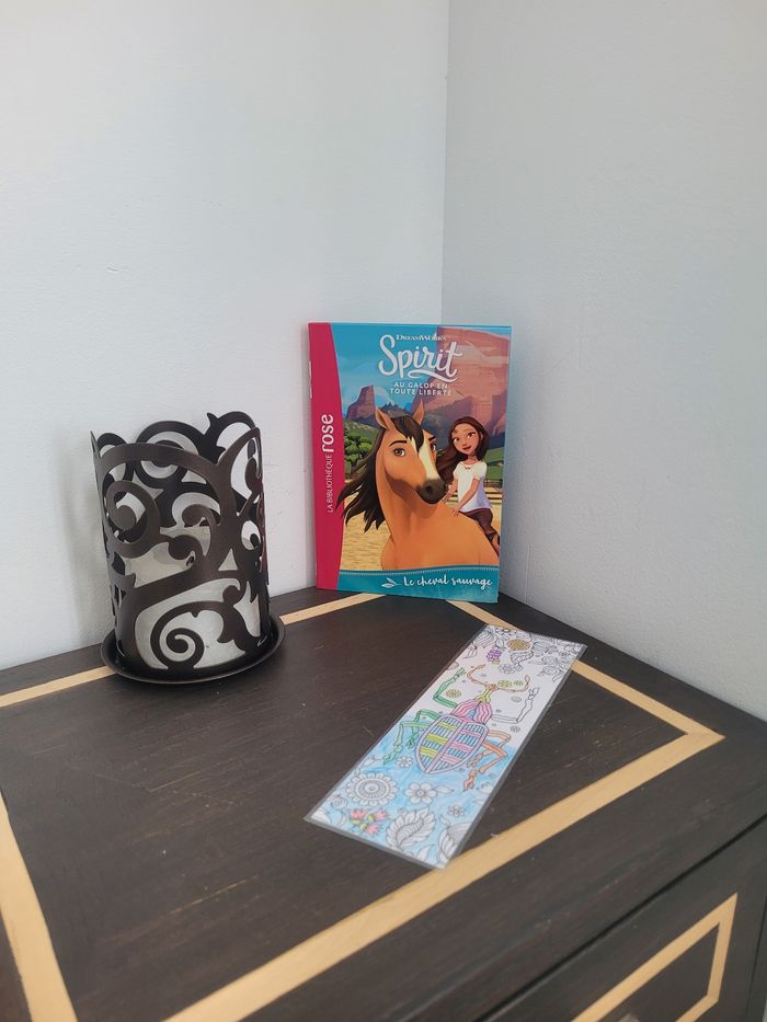 Spirit Le cheval sauvage