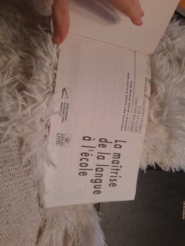 La maitrise de la langue à l'école - photo numéro 8