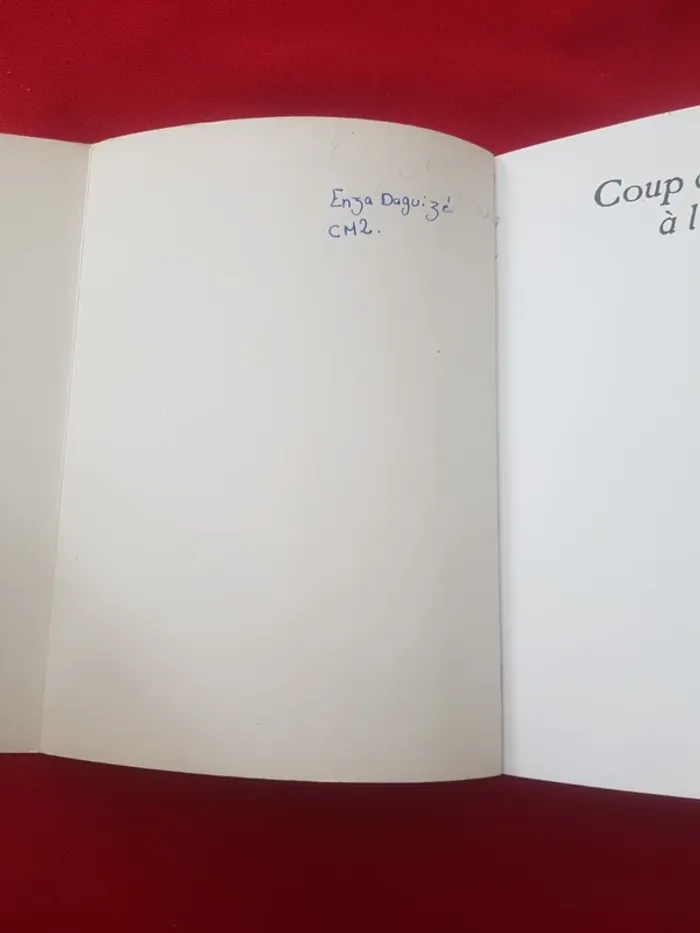 Coup de théâtre a l école - photo numéro 3