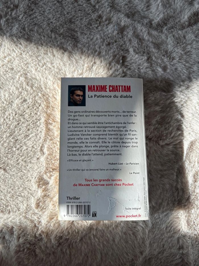 La patience du diable livre - photo numéro 2