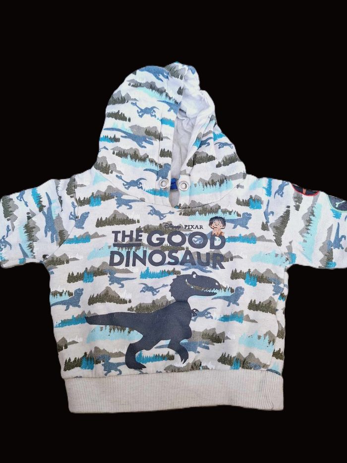 Pull à capuche Disney Le Voyage d'Arlo 18 mois