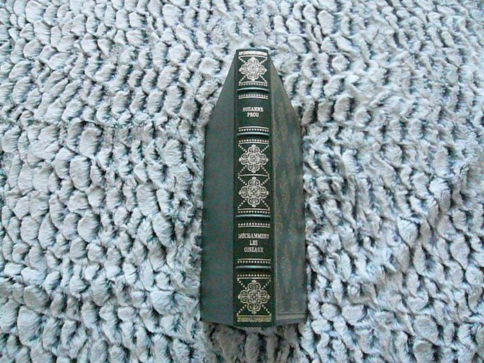 Livre de Suzanne Prou « Méchamment les oiseaux »