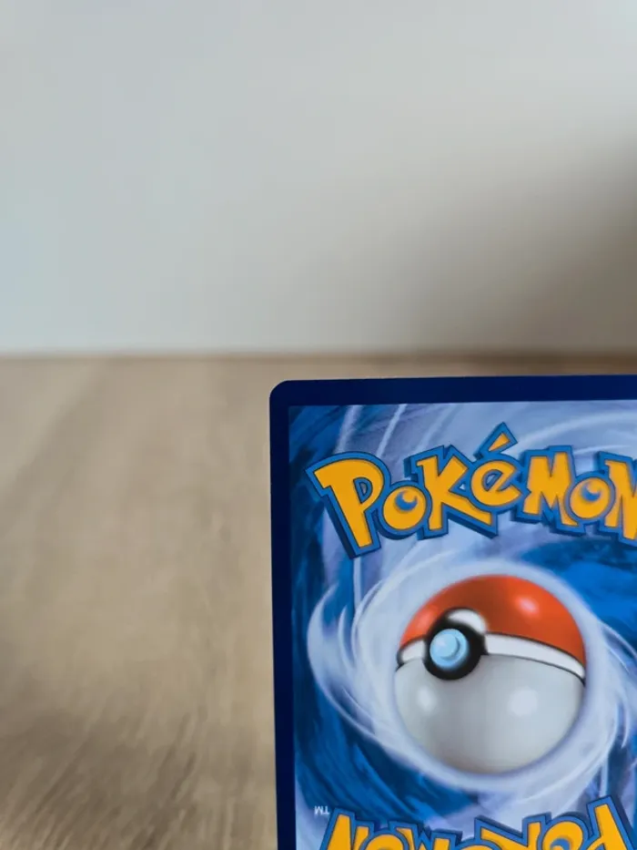 Dimoret SWSH246 - photo numéro 7