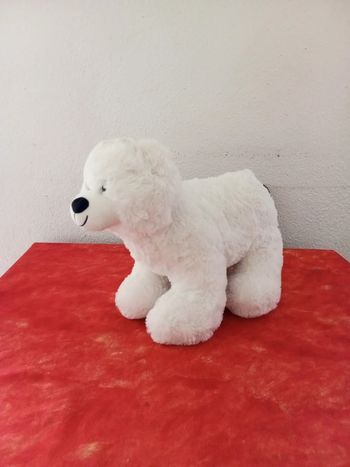 Ours polaire Max and Sax