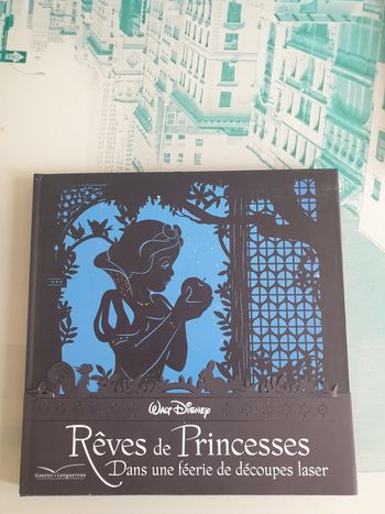 Livre rêves de princesses