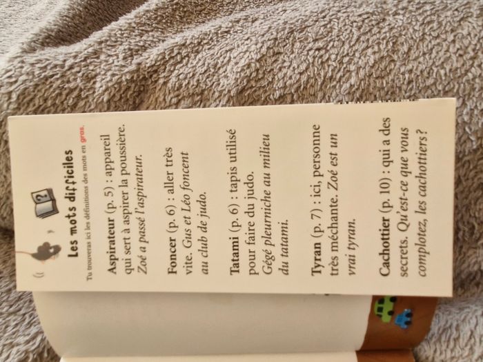 Livre Interdit aux petites sœur dès 6-7 ans - photo numéro 7