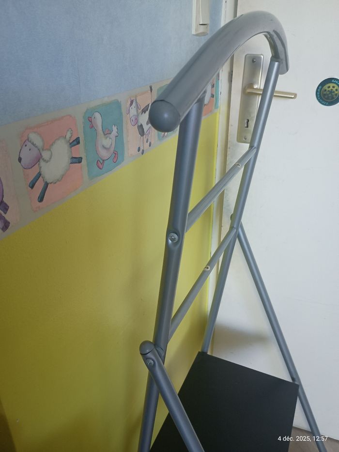 Valet de chambre - photo numéro 5