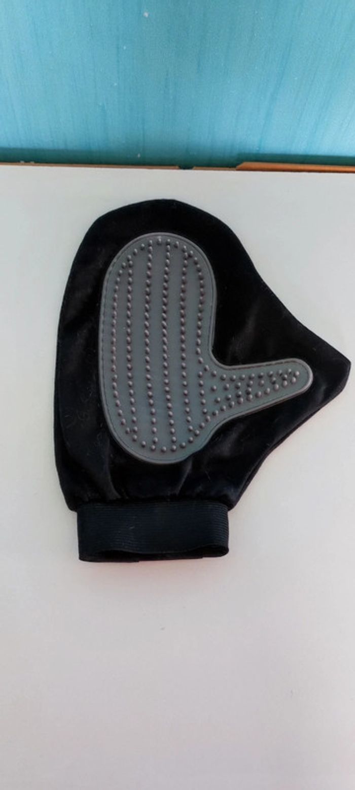 Gants de brossage animaux