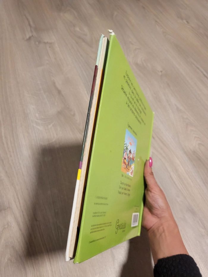 Livre la vallee des dinosaures de grenouille éditions - photo numéro 8