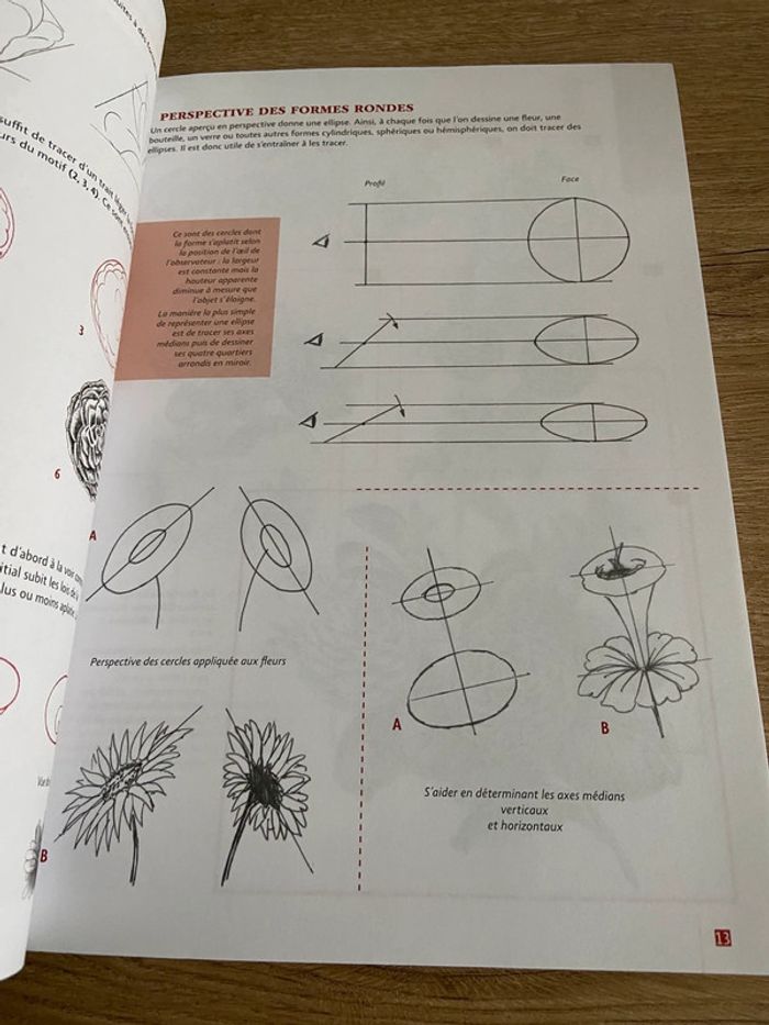 Livre les dossiers du dessin fleurs et bouquets - photo numéro 3