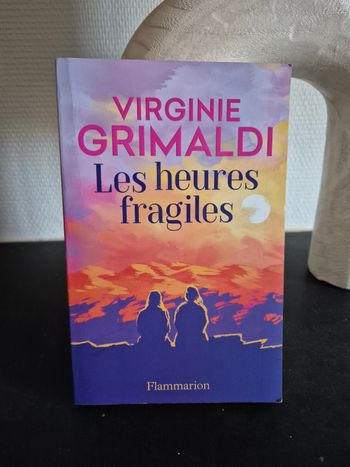 Livre - les heures fragiles 