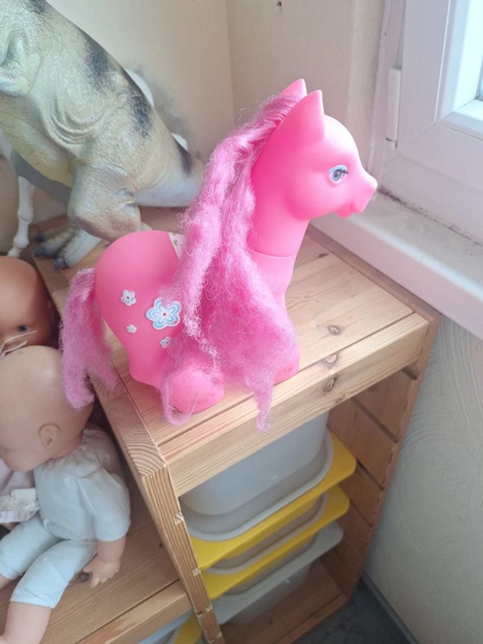 Poney - photo numéro 2